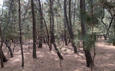 2026年2月もうすぐ終わり。